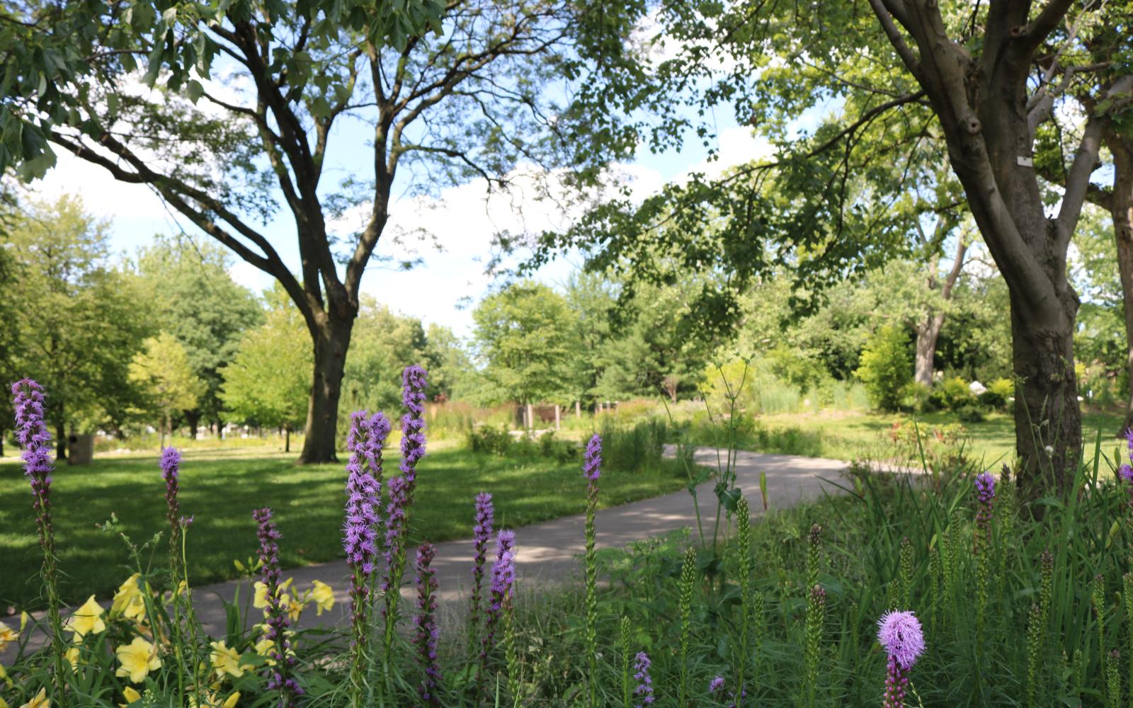 An image of a sunny day with green grass, trees and flowers at Proksa Park