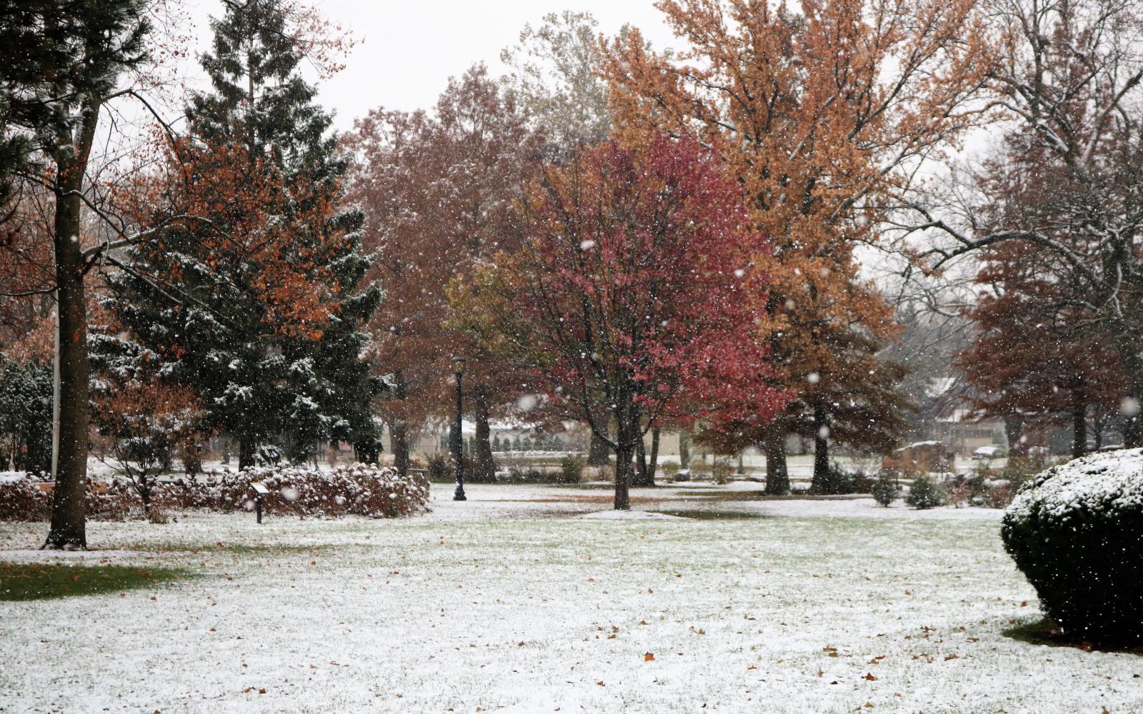 proksa park in the winter 