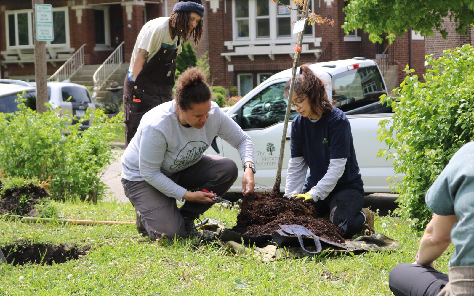 an image of two people putting a tree into a recently dug hole