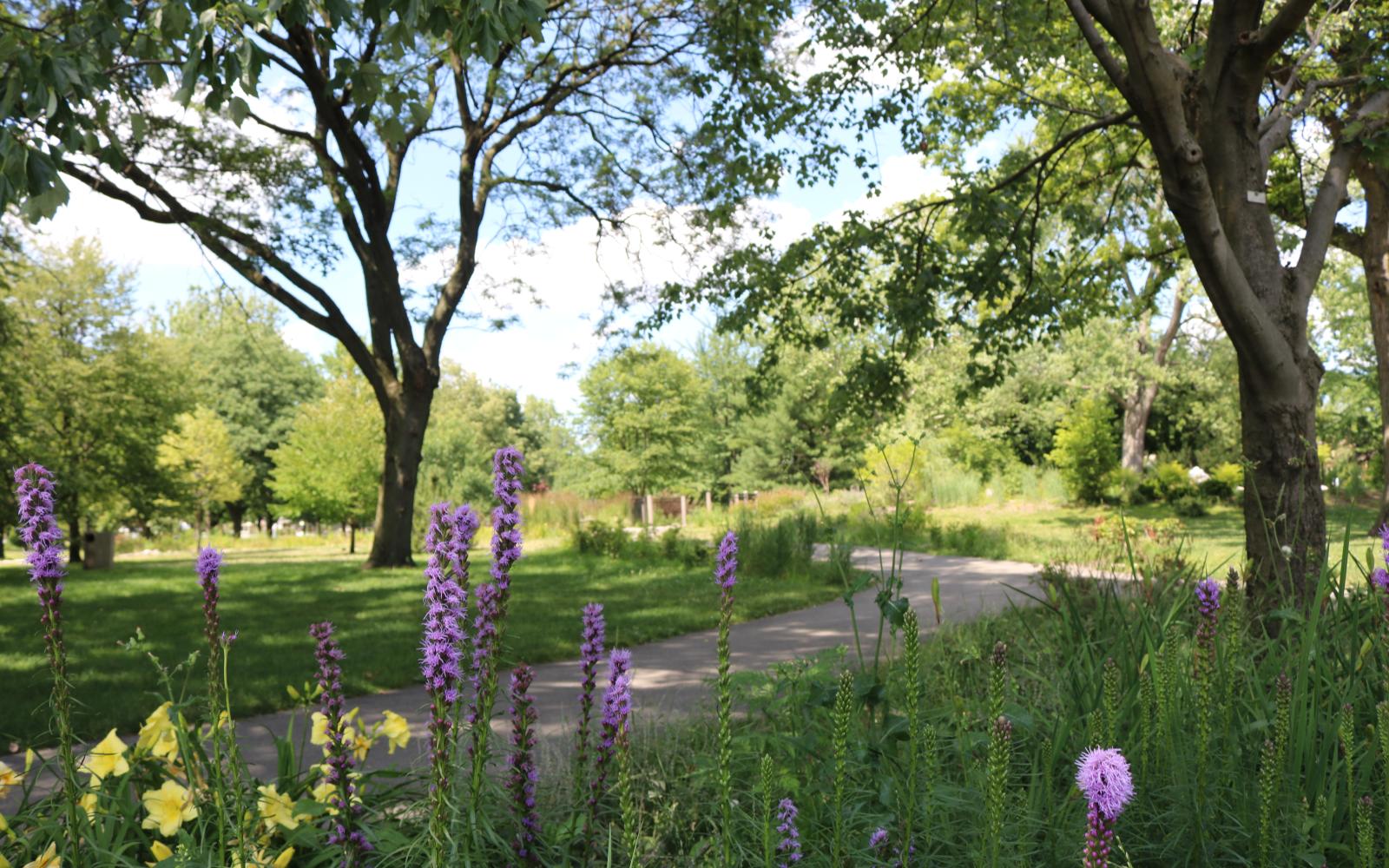 An image of a sunny day with green grass, trees and flowers at Proksa Park