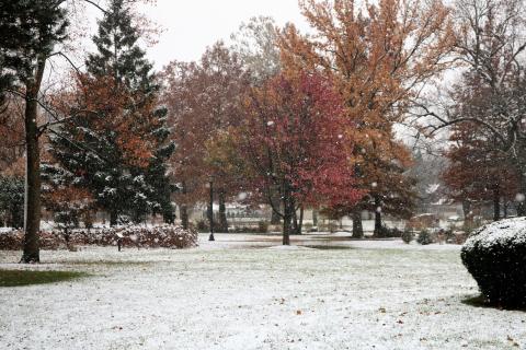 proksa park in the winter 